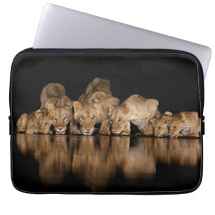 Leeuwenprooi drinkt 's nachts bij het watergat laptop sleeve