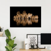Leeuwenprooi drinkt 's nachts bij het watergat poster (Thuiskantoor)