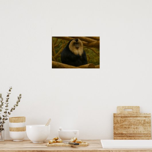 Leeuwenstaartmakaak in bosreservaat poster (Keuken)