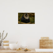 Leeuwenstaartmakaak in bosreservaat poster (Keuken)