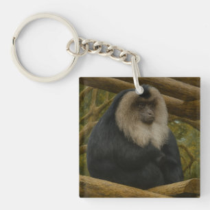 Leeuwenstaartmakaak in bosreservaat sleutelhanger