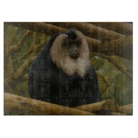 Leeuwenstaartmakaak in bosreservaat snijplank (Voorkant)