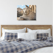Leeuwenstandbeeld voor historische kerk canvas afdruk (Insitu (Slaapkamer))