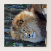 leeuwenuiterlijk legpuzzel (Verticaal)