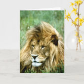 Leeuwenverjaardagskaart Kaart (Gele Bloem)