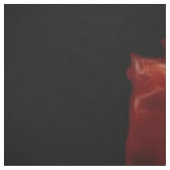 Leeuwenvuur op zwart stof (Swatch)