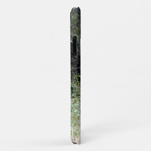 leeuwenwandeling Case-Mate iPhone case (Achterkant/rechts)