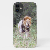 leeuwenwandeling Case-Mate iPhone case (Achterkant)