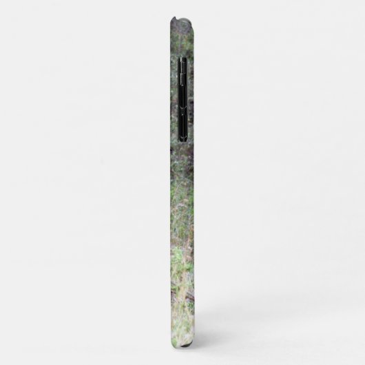 leeuwenwandeling Case-Mate iPhone case (Achterkant/links)