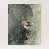 leeuwenwandeling legpuzzel (Verticaal)