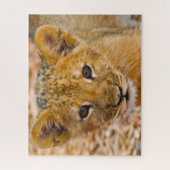 Leeuwenwelp Grote Katachtigen. Legpuzzel (Verticaal)