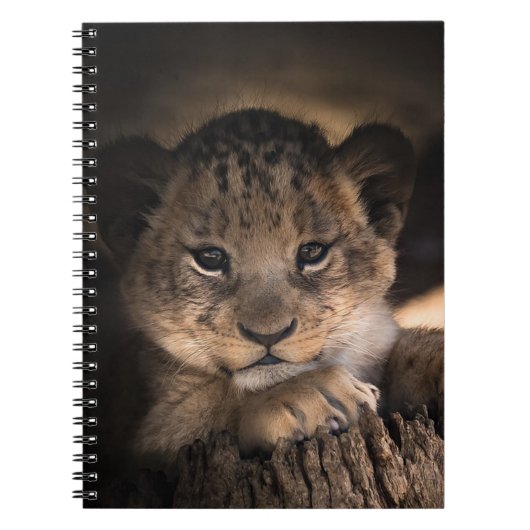Leeuwenwelp Notitieboek (Voorkant)