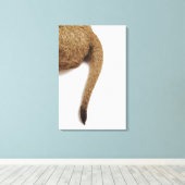 Leeuwenwelp (Panthera leo) tegen wit 2 Canvas Afdruk (Insitu (Houten vloer))
