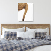 Leeuwenwelp (Panthera leo) tegen wit 2 Canvas Afdruk (Insitu (Slaapkamer))