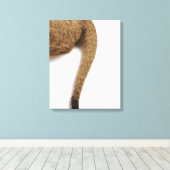 Leeuwenwelp (Panthera leo) tegen wit 2 Canvas Afdruk (Insitu (Houten vloer))