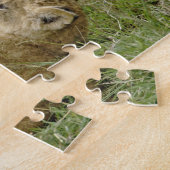 Leeuwenwelp speelt legpuzzel (Zijkant)
