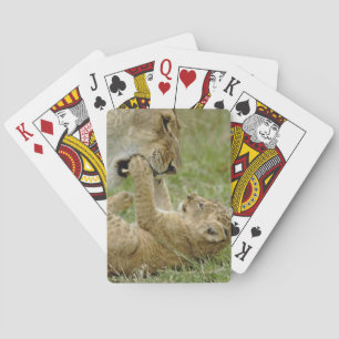 Leeuwenwelp speelt pokerkaarten