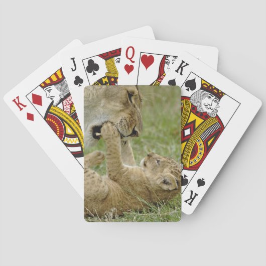 Leeuwenwelp speelt pokerkaarten (Achterkant)