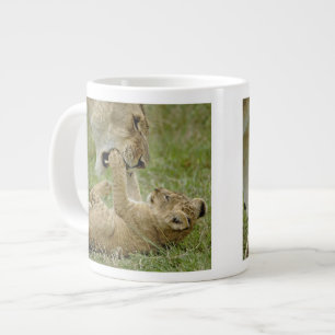 Leeuwenwelp Spelend Grote Koffiekop