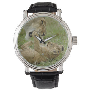 Leeuwenwelp Spelend Horloge