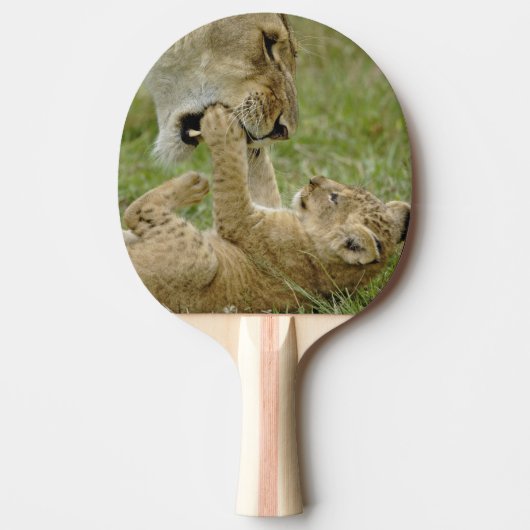 Leeuwenwelp Spelend Tafeltennisbatje (Voorkant)