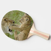 Leeuwenwelp Spelend Tafeltennisbatje (Zijkant)