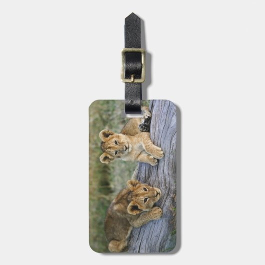 Leeuwenwelpen op log bagagelabel (Voorkant verticaal)