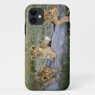 Leeuwenwelpen op log Case-Mate iPhone case