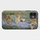 Leeuwenwelpen op log Case-Mate iPhone case (Achterkant (horizontaal))