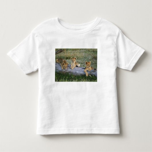 Leeuwenwelpen op log kinder shirts (Voorkant)