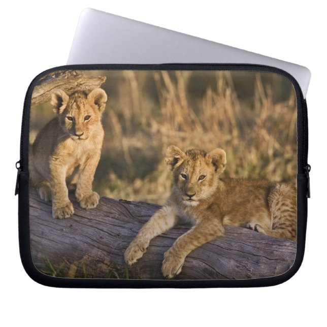 Leeuwenwelpen op log laptop sleeve (Voorkant)