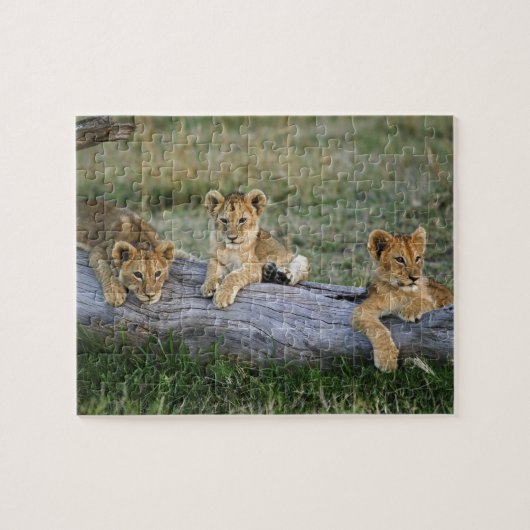 Leeuwenwelpen op log legpuzzel (Horizontaal)