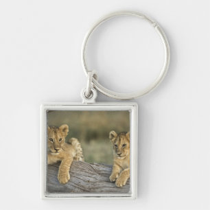 Leeuwenwelpen op log sleutelhanger