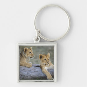 Leeuwenwelpen op log sleutelhanger