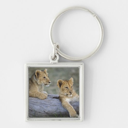 Leeuwenwelpen op log sleutelhanger (Voorkant)