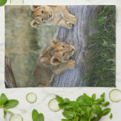 Leeuwenwelpen op log theedoek (Gevouwen)