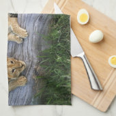 Leeuwenwelpen op log theedoek (Quarter Fold)