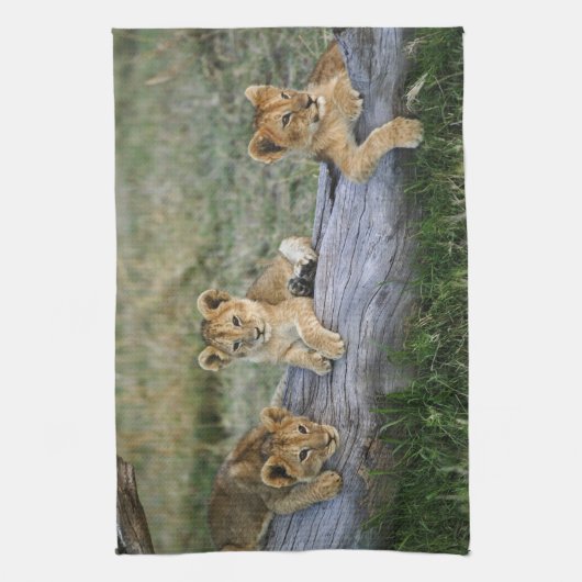 Leeuwenwelpen op log theedoek (Verticaal)