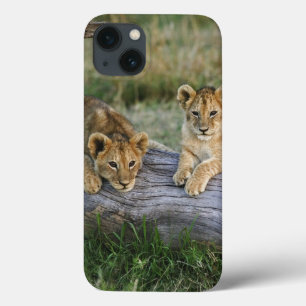Leeuwenwelpen op stam Case-Mate iPhone case