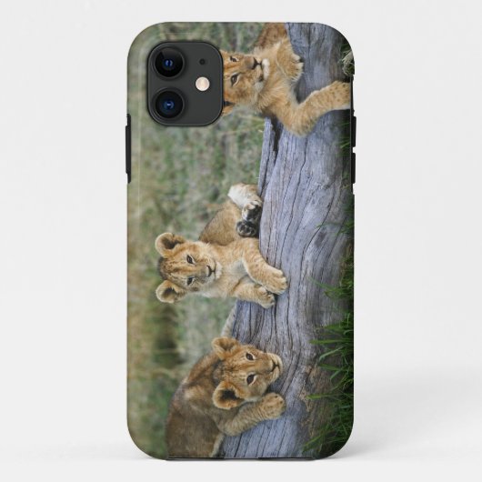 Leeuwenwelpen op stam Case-Mate iPhone case (Achterkant)