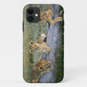 Leeuwenwelpen op stam iPhone 11 hoesje