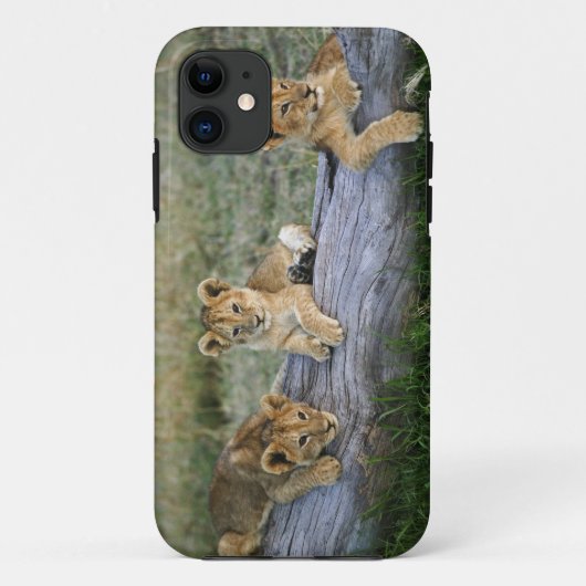 Leeuwenwelpen op stam Case-Mate iPhone case (Achterkant)