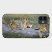 Leeuwenwelpen op stam Case-Mate iPhone case (Achterkant (horizontaal))