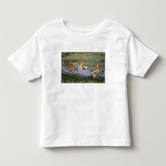 Leeuwenwelpen op stam kinder shirts (Voorkant)