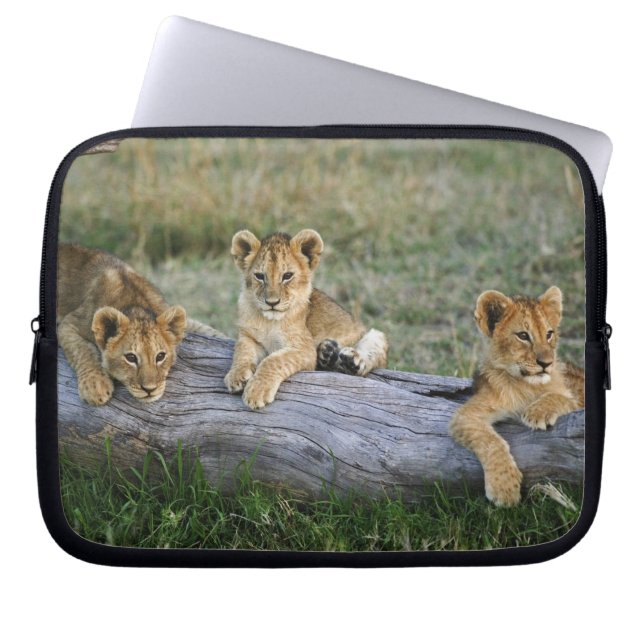 Leeuwenwelpen op stam laptop sleeve (Voorkant)