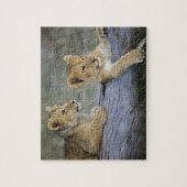Leeuwenwelpen op stam legpuzzel (Verticaal)