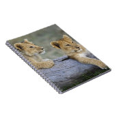 Leeuwenwelpen op stam notitieboek (Rechterzijde)