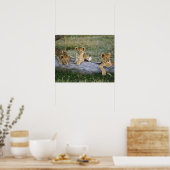 Leeuwenwelpen op stam poster (Keuken)