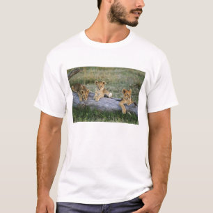 Leeuwenwelpen op stam t-shirt