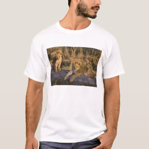 Leeuwenwelpen op stam t-shirt